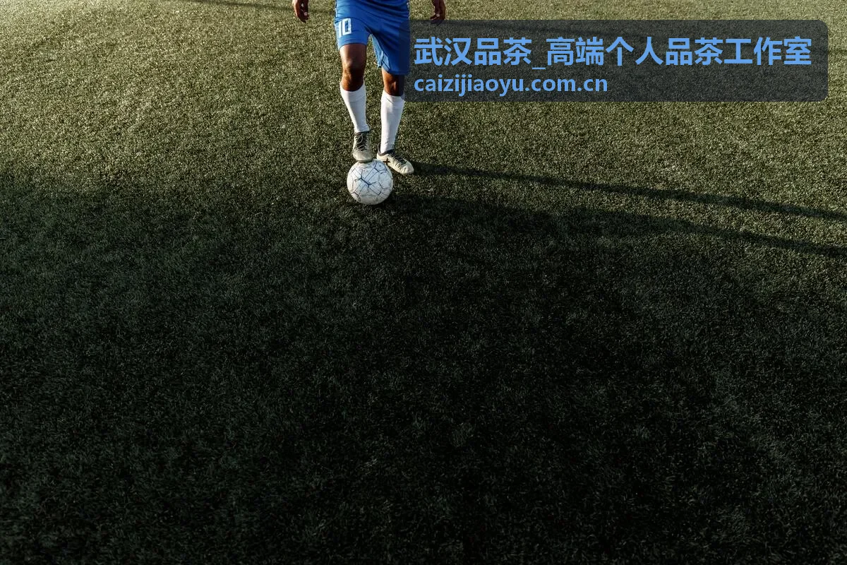 武汉品茶 茶品选鉴 年份茶