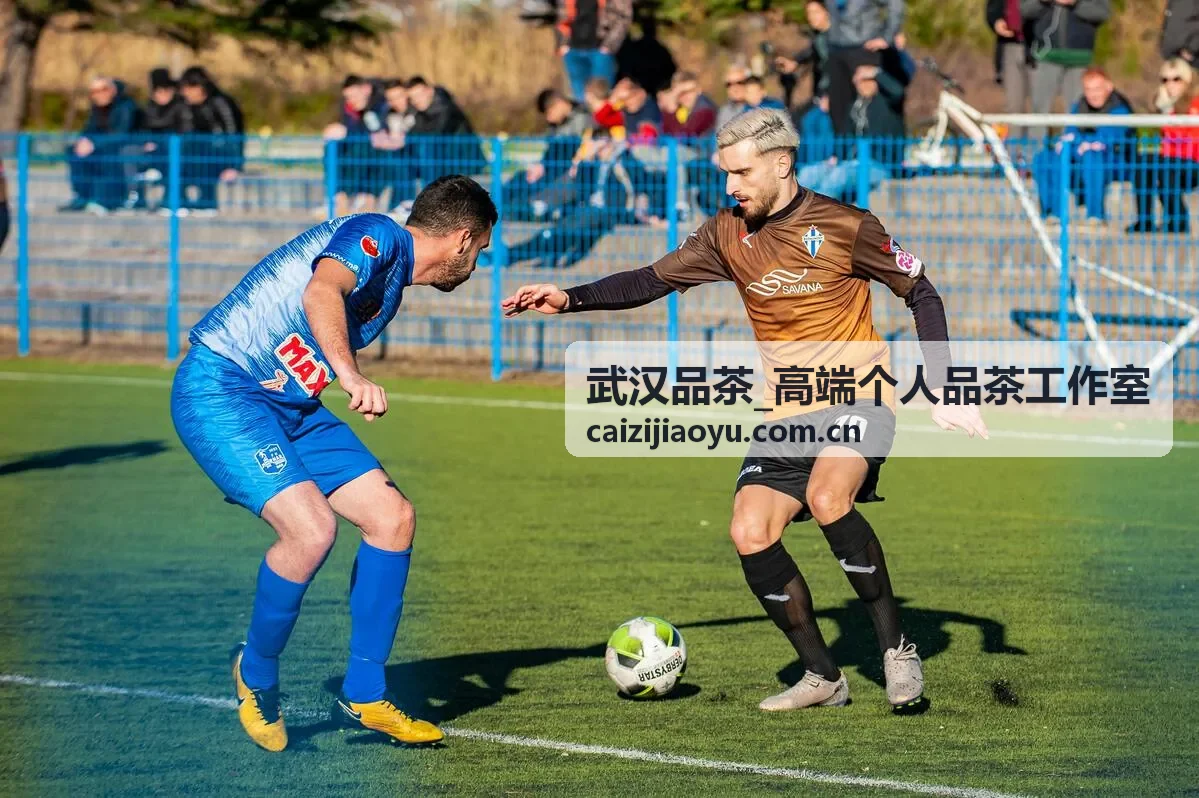 武汉品茶 主题茶会 定制雅集